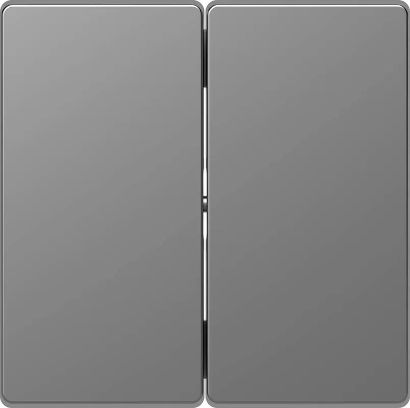 Cel mai vândut Capac întrerupător de perete dublu culoare inox Merten System Design MEG3400-6036