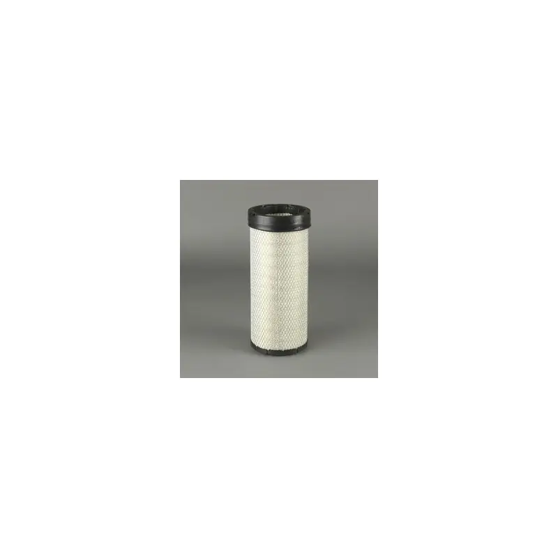 Filtru aer Donaldson P953215 pentru Hifi Filter SA16747 Oferta P - Trada Marketplace Retur gratuit