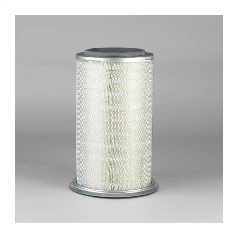 Ofertă limitată Filtru Aer Donaldson P772522 pentru John Deere DDX18913 Oferta P - Trada Marketplace