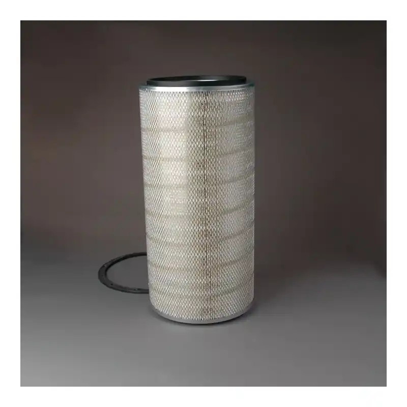Filtru aer Donaldson P181009 pentru Hifi Filter SA10815 Oferta P - Trada Marketplace Retur ușor
