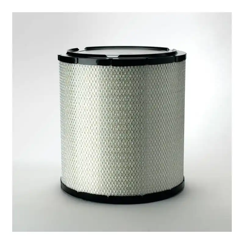 Filtru aer Donaldson P538007 pentru Hifi Filter SA16407 Oferta P - Trada Marketplace Promoție