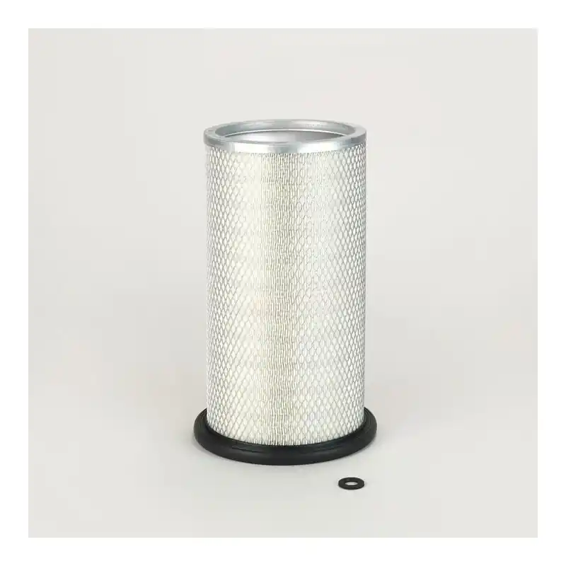 Filtru Aer Donaldson P775500 Oferta Pret - Trada.ro - Trada Marketplace Ofertă exclusivă