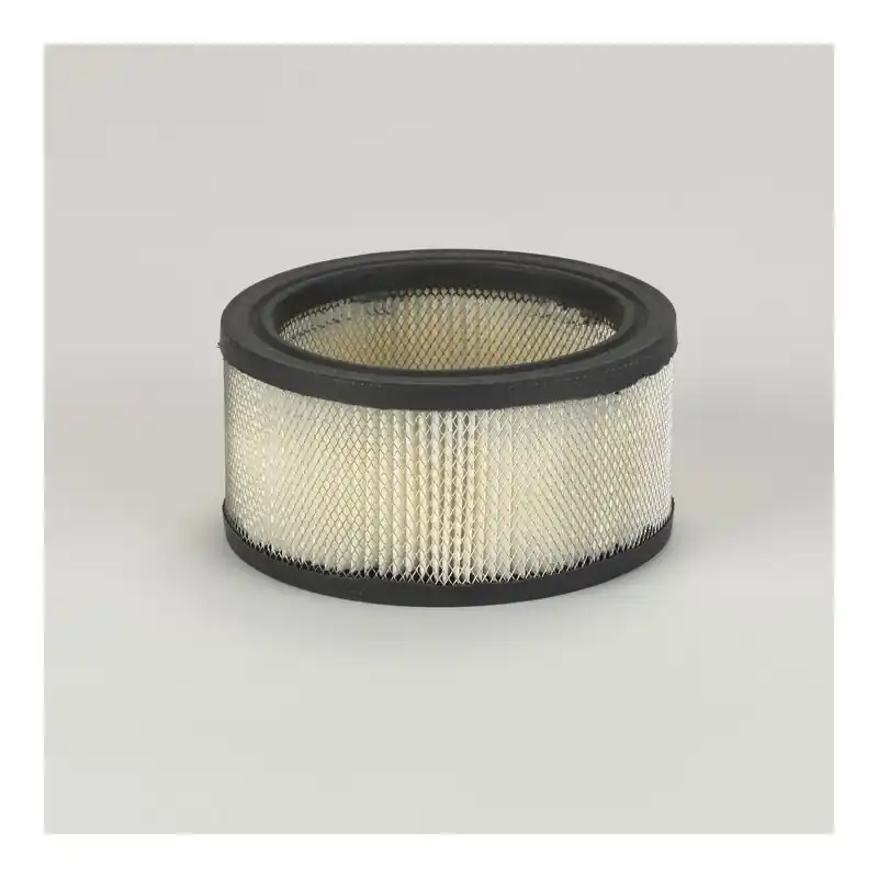 Filtru Aer Donaldson P528215 Oferta Pret - Trada.ro - Trada Marketplace Lichidare de stoc