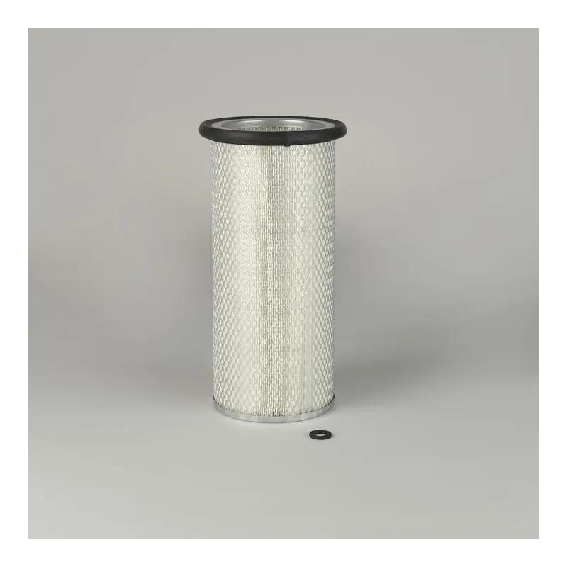 Filtru Aer Donaldson P123007 pentru Caterpillar 3I0165 Oferta Pr - Trada Marketplace Transport gratuit