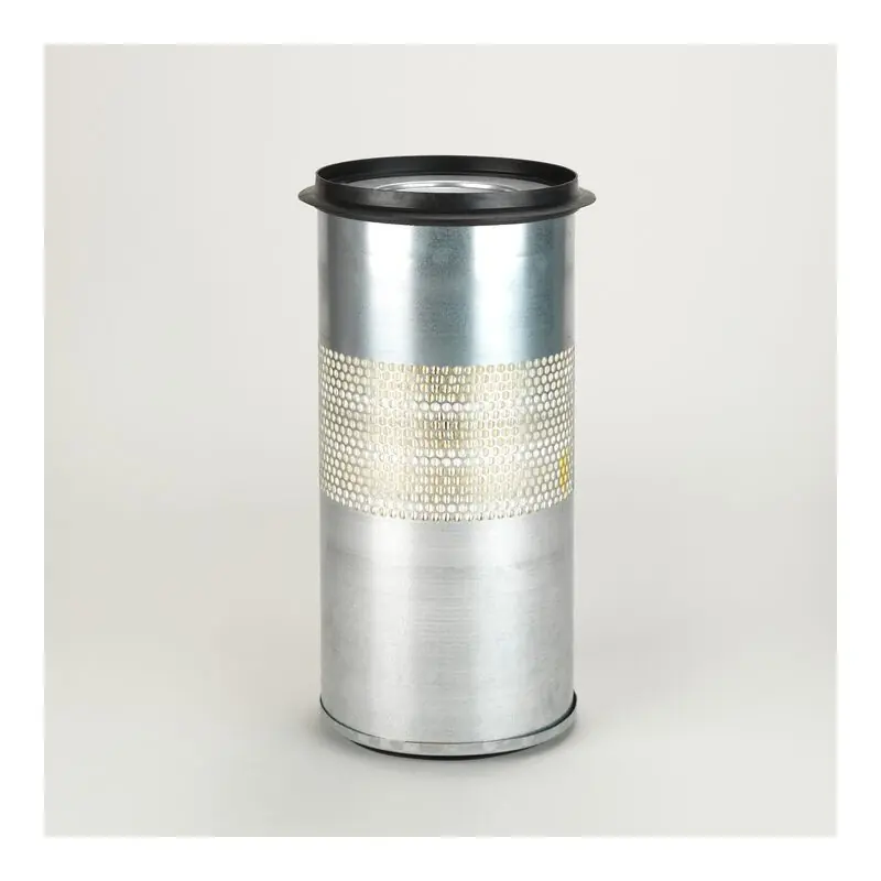 Doar azi Filtru Aer Donaldson P114241 Oferta Pret - Trada.ro - Trada Marketplace