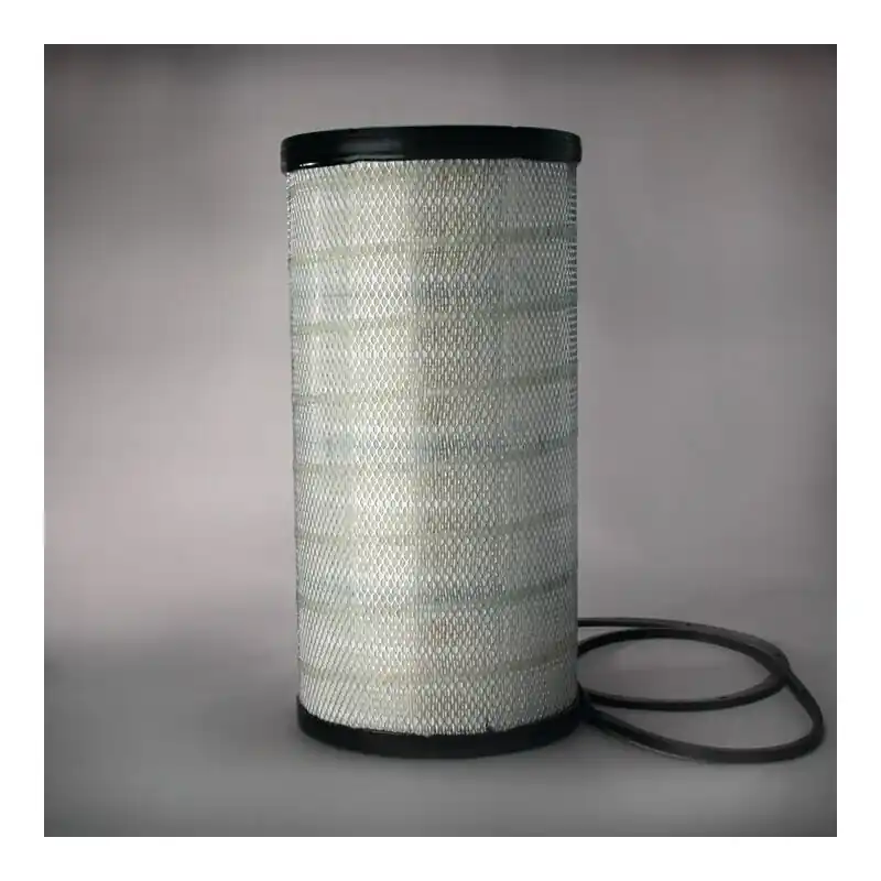 Filtru aer Donaldson P534925 pentru Hifi Filter SA16148 Oferta P - Trada Marketplace Ofertă specială