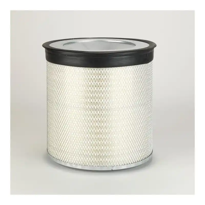 Filtru aer Donaldson P124370 pentru Hifi Filter SA16255 Oferta P - Trada Marketplace Livrare rapidă