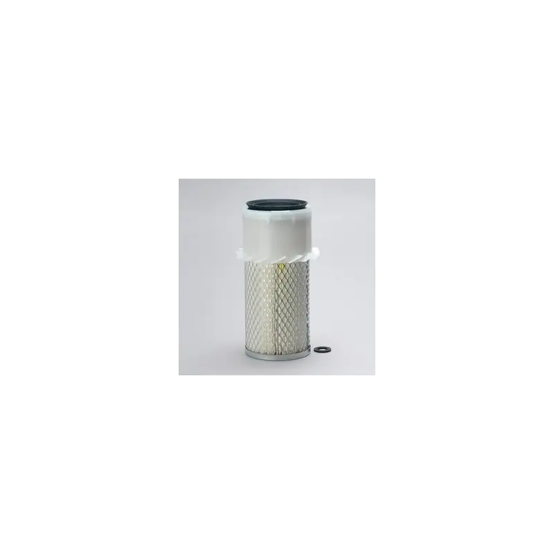 Filtru aer Donaldson P108736 pentru Hifi Filter SA10769K Oferta - Trada Marketplace Premium