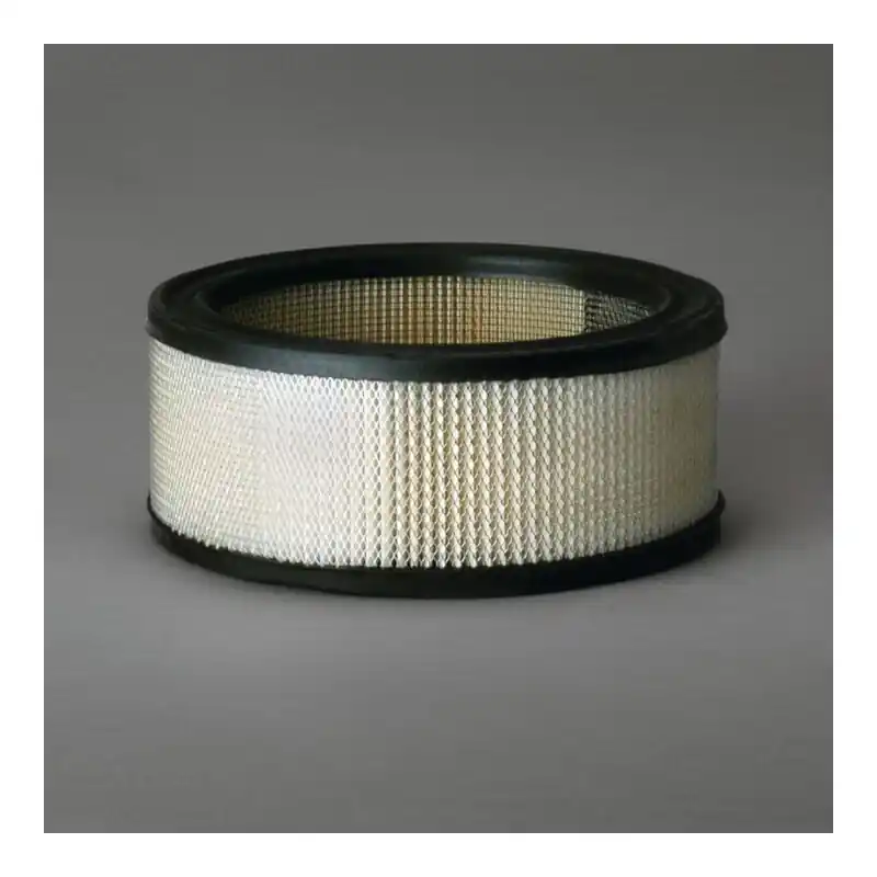 Filtru Aer Donaldson P607255 Oferta Pret - Trada.ro - Trada Marketplace Comandă acum