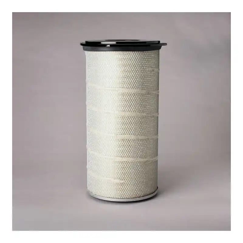 Reducere Filtru aer Donaldson P780815 pentru Hifi Filter SA14835 Oferta P - Trada Marketplace