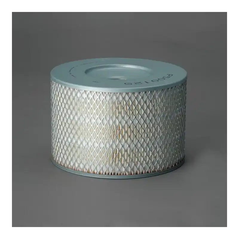 Filtru aer Donaldson P500125 pentru Hifi Filter SA8041 Oferta Pr - Trada Marketplace Transport gratuit