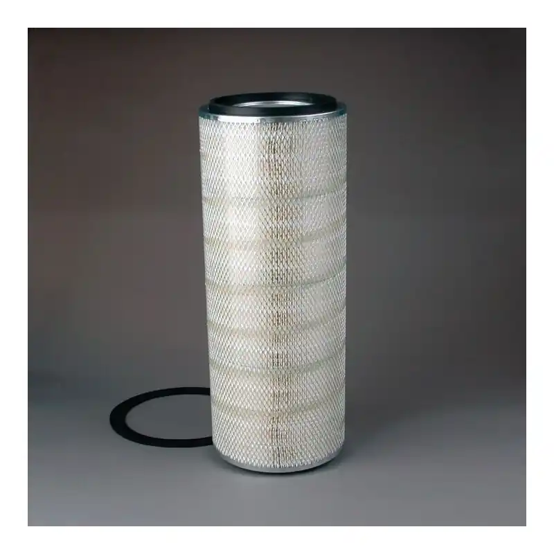 Bestseller Filtru Aer Donaldson P181016 Oferta Pret - Trada.ro - Trada Marketplace