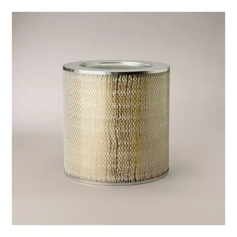 Preferatul clienților Filtru Aer Donaldson P181031 Oferta Pret - Trada.ro - Trada Marketplace