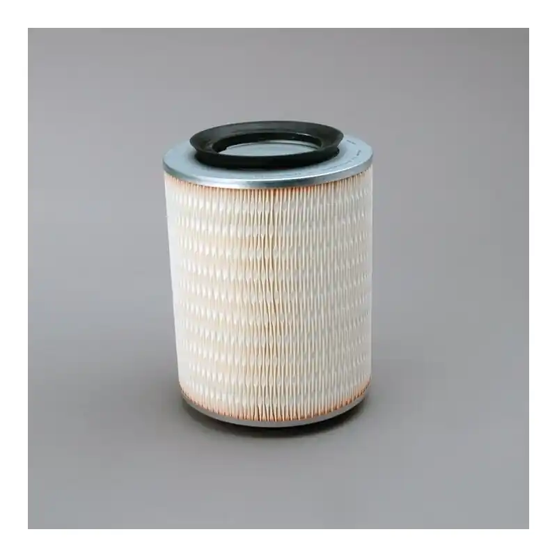 Filtru aer Donaldson P500014 pentru Hifi Filter SA8134 Oferta Pr - Trada Marketplace Chilipir