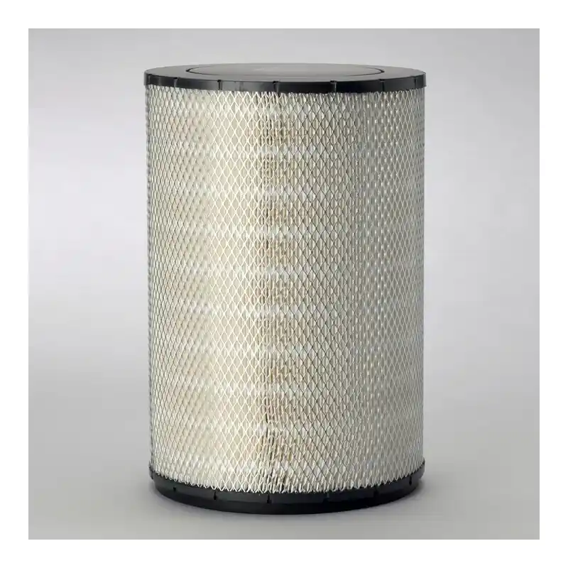 Cel mai vândut Filtru aer Donaldson P181102 pentru Hifi Filter SA10286 Oferta P - Trada Marketplace
