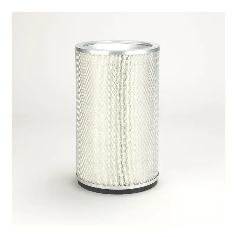 Plată sigură Filtru Aer Donaldson P124366 Oferta Pret - Trada.ro - Trada Marketplace
