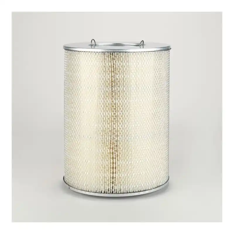 Filtru aer Donaldson P181065 pentru Hifi Filter SA10853 Oferta P - Trada Marketplace Noutate