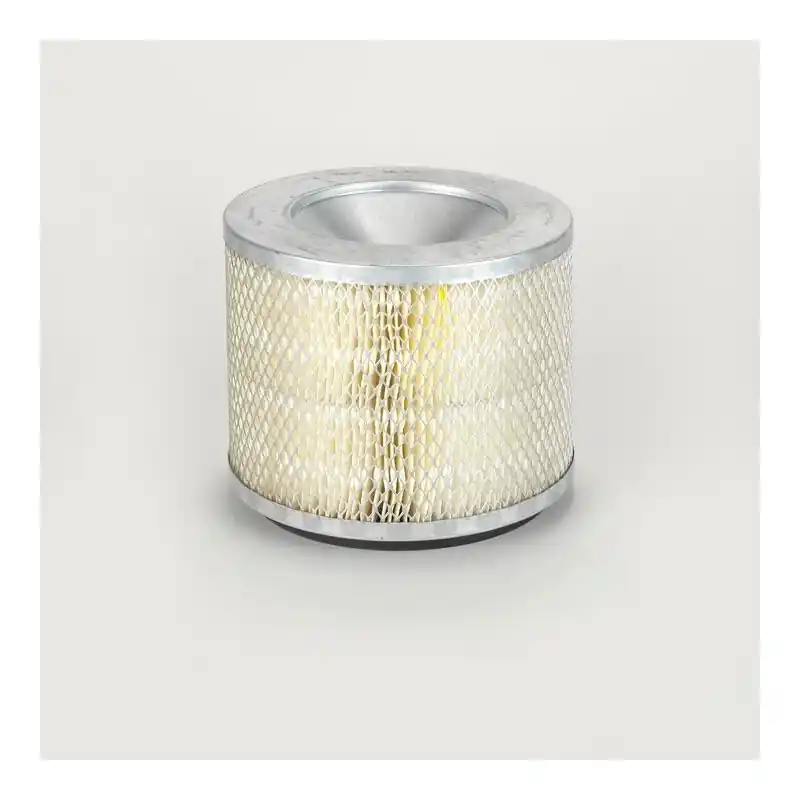 Cumpără acum Filtru Aer Donaldson P181084 Oferta Pret - Trada.ro - Trada Marketplace