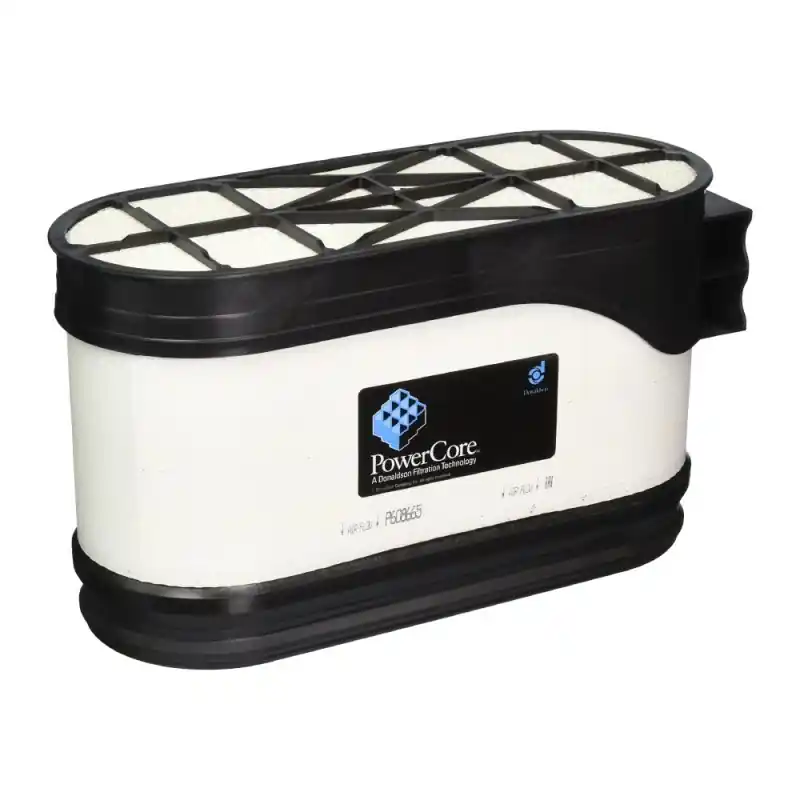 Discount Filtru Aer P608665, Lungime 319,5 mm, Inaltime 184,5 mm, Donalds - Trada Marketplace