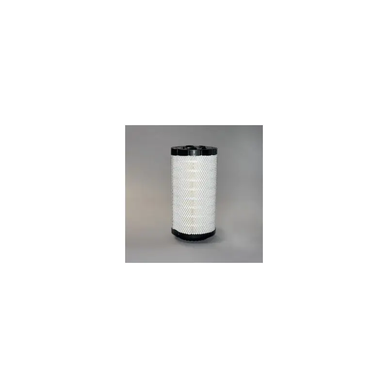 Filtru Aer Donaldson P778994 pentru Hifi Filter SA17088 Oferta P - Trada Marketplace Livrare rapidă