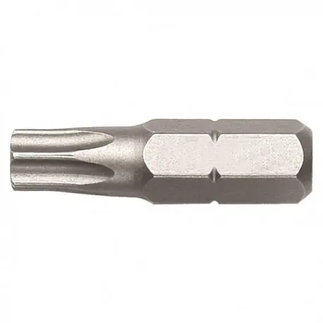 CAP SURUBELNITA BIT 25 MM TORX T40 Comandă acum