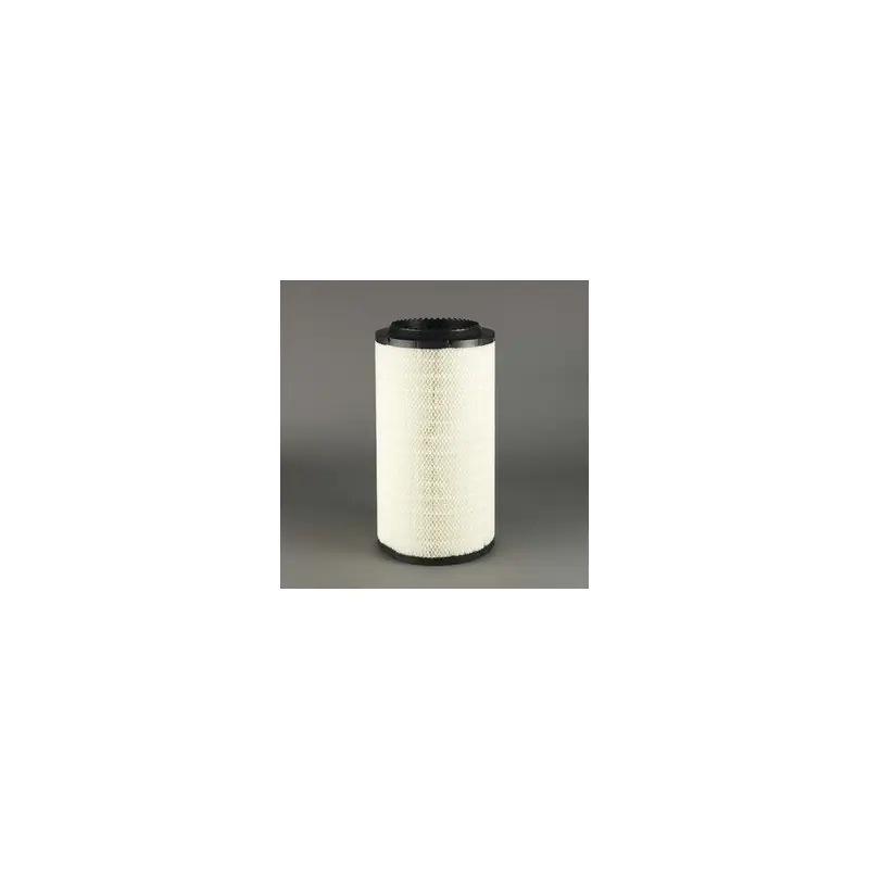 Filtru aer Donaldson P782106 pentru Hifi Filter SA17423 Oferta P - Trada Marketplace Chilipir