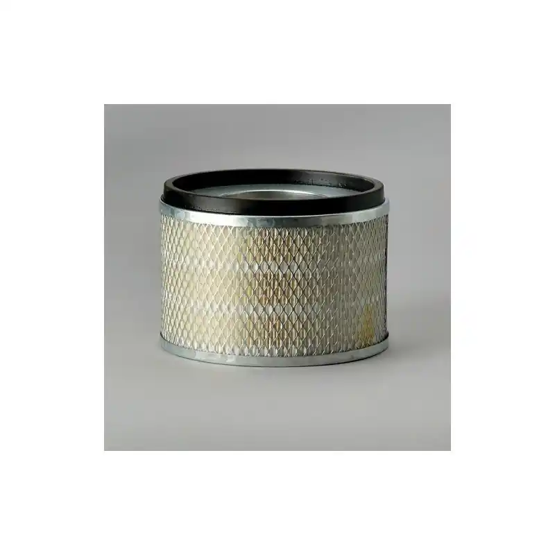 Filtru Aer Donaldson P181125 pentru Hifi Filter SA11840 Oferta P - Trada Marketplace Chilipir