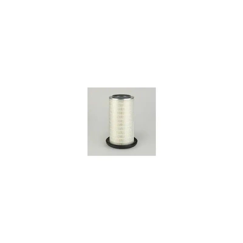 Filtru aer Donaldson P772507 pentru Hifi Filter SA10920 Oferta P - Trada Marketplace Vezi acum