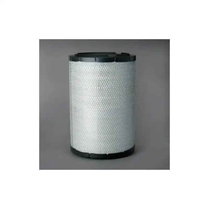 Reducere specială Filtru aer Donaldson P780331 pentru Hifi Filter SA16169 Oferta P - Trada Marketplace