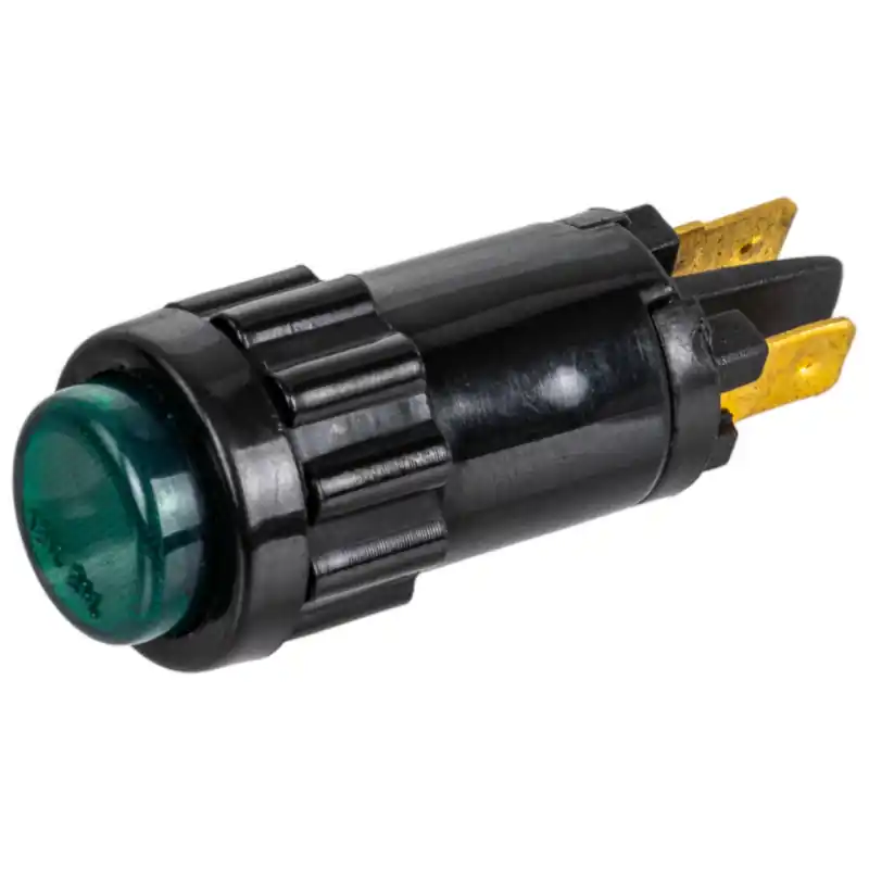 Indicator luminos verde P1061 Transport gratuit