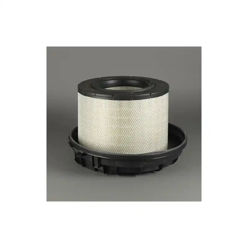 Preț promoțional Filtru aer Donaldson P785542 pentru Hifi Filter SA5133 Oferta Pr - Trada Marketplace