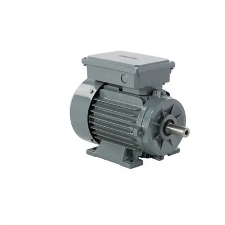 MOTOR ELECTRIC MONOFAZAT 0.75 KW 3000 RPM B3-2 CONDENSATOARE MSD 80 2a B3 Plată securizată