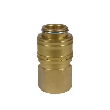 CUPLA RAPIDA CU FILET INTERIOR PENTRU COMPRESOR 1/4'' 4139206 Ofertă exclusivă