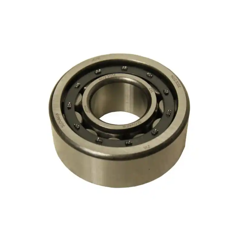 Nu rata Rulment cu role cilindrice pe un singur rând 25x62x24 Nu2305e Zvl