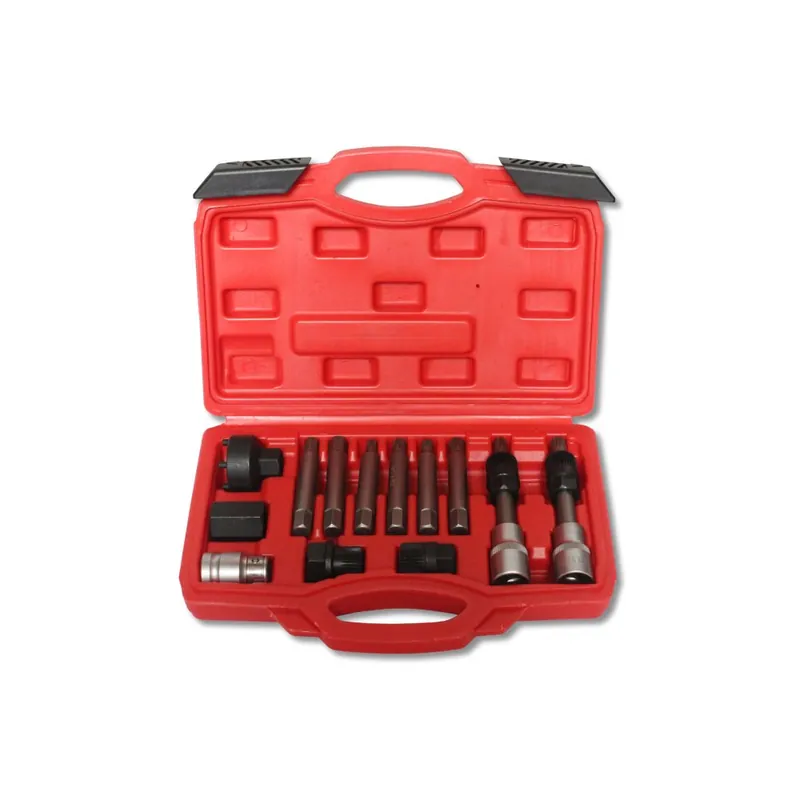 Set de chei pentru fulii alternator 13 piese PRO Expediere rapidă