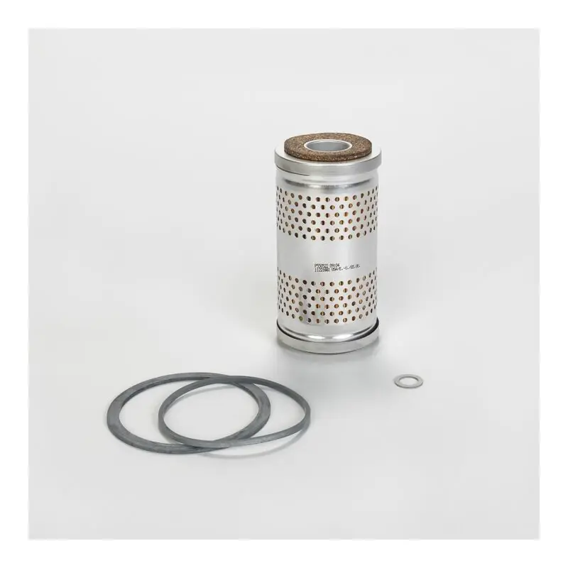 Comandă acum Filtru Combustibil Donaldson P550522 Oferta Pret - Trada.ro - Trada Marketplace