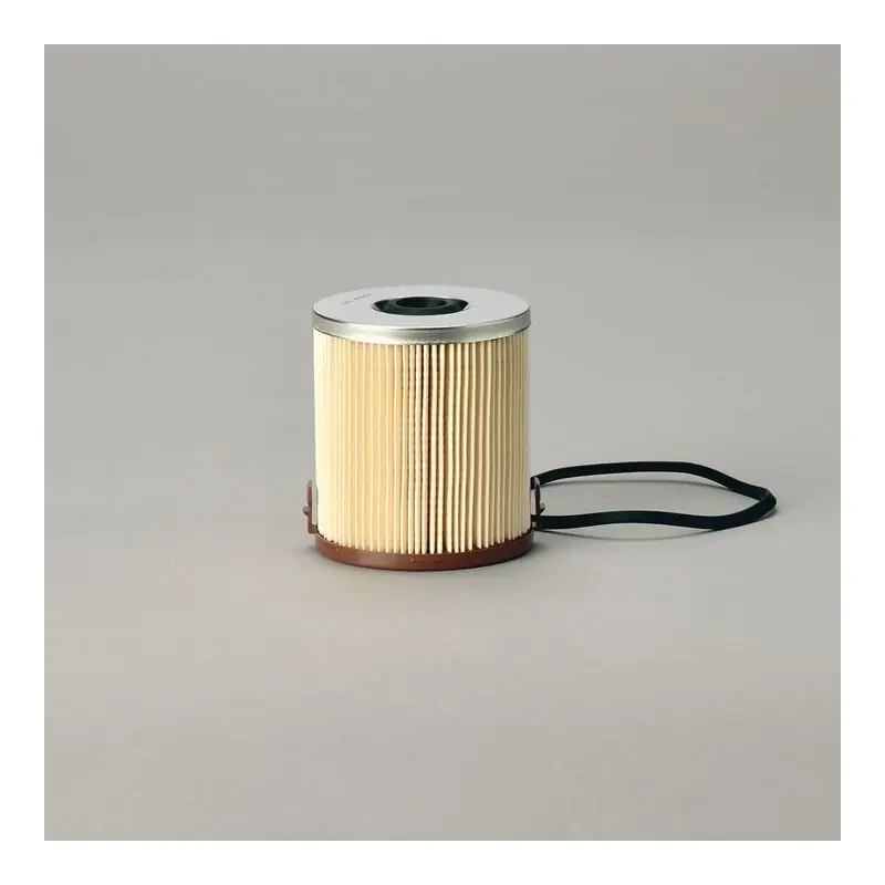 Vezi acum Filtru Combustibil Donaldson P550966 Oferta Pret - Trada.ro - Trada Marketplace