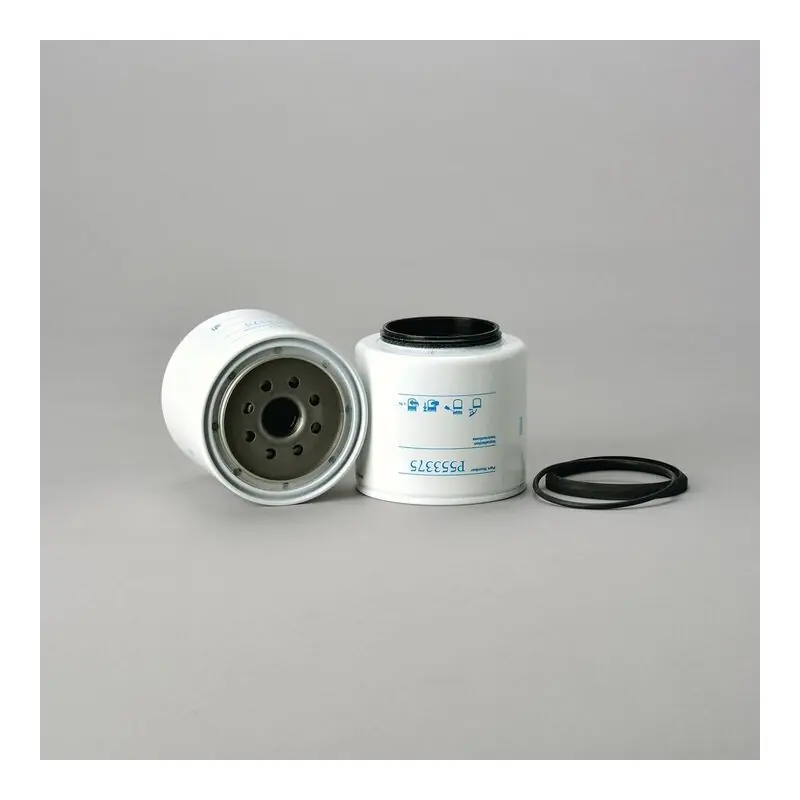 Expediere rapidă Filtru Combustibil Donaldson P553375 Oferta Pret - Trada.ro - Trada Marketplace