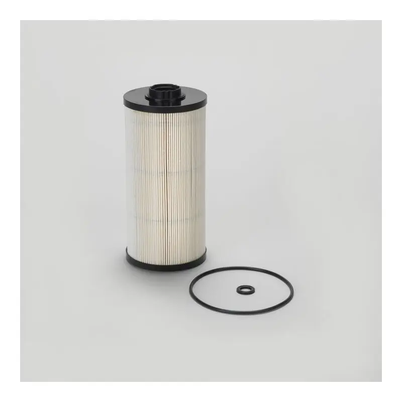 Filtru Combustibil P502522 pentru HITACHI 4719920 Oferta Pret - - Trada Marketplace Plată securizată