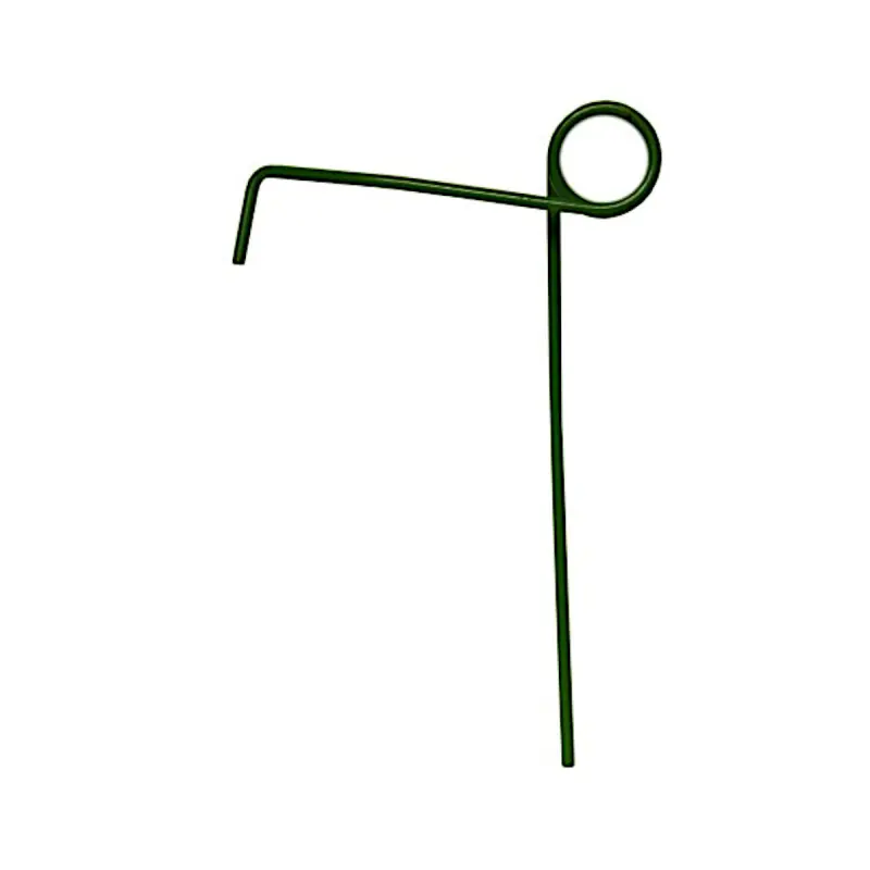 Deget grapă semănătoare Amazone față 3408200 Preț promoțional