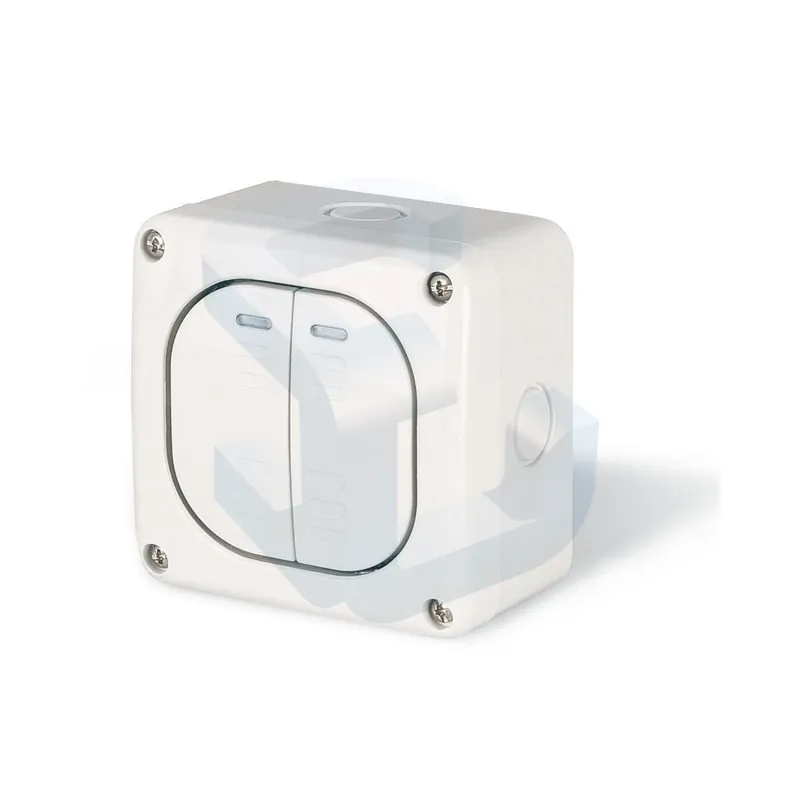 Intrerupator dublu Scame Protecta, 1P, 10 A, montaj aplicat Ofertă limitată