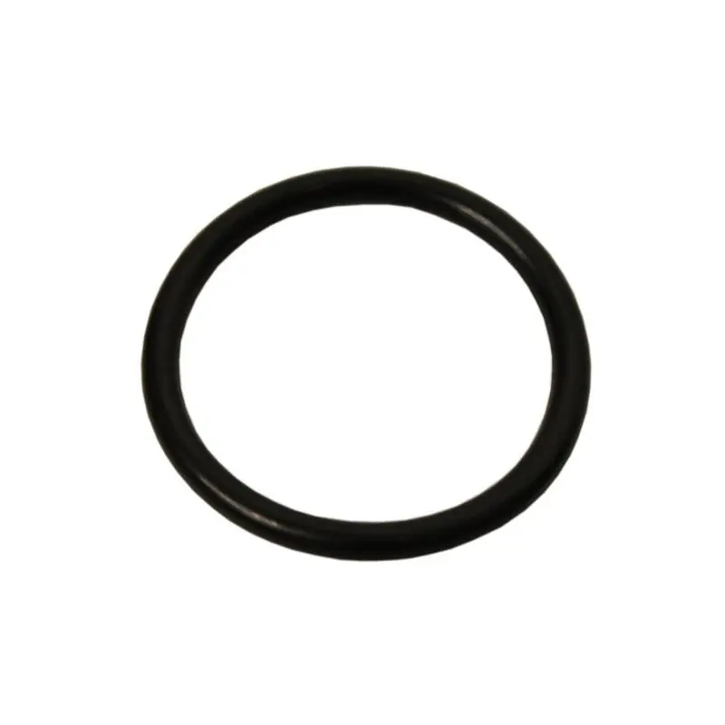 Ofertă exclusivă O-ring 35x3,5 Pentru colector de aspirație al pompei P-145