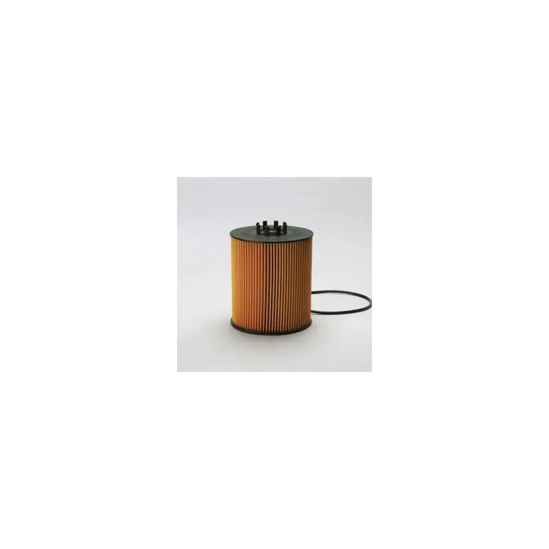 Filtru ulei Donaldson P550938 pentru Hifi Filter SO10047 Oferta - Trada Marketplace Vezi acum