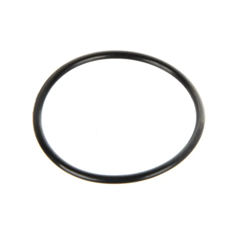 Oring 42,5x2,6 Garnitură pentru sticla filtrului de presiune Disponibil imediat