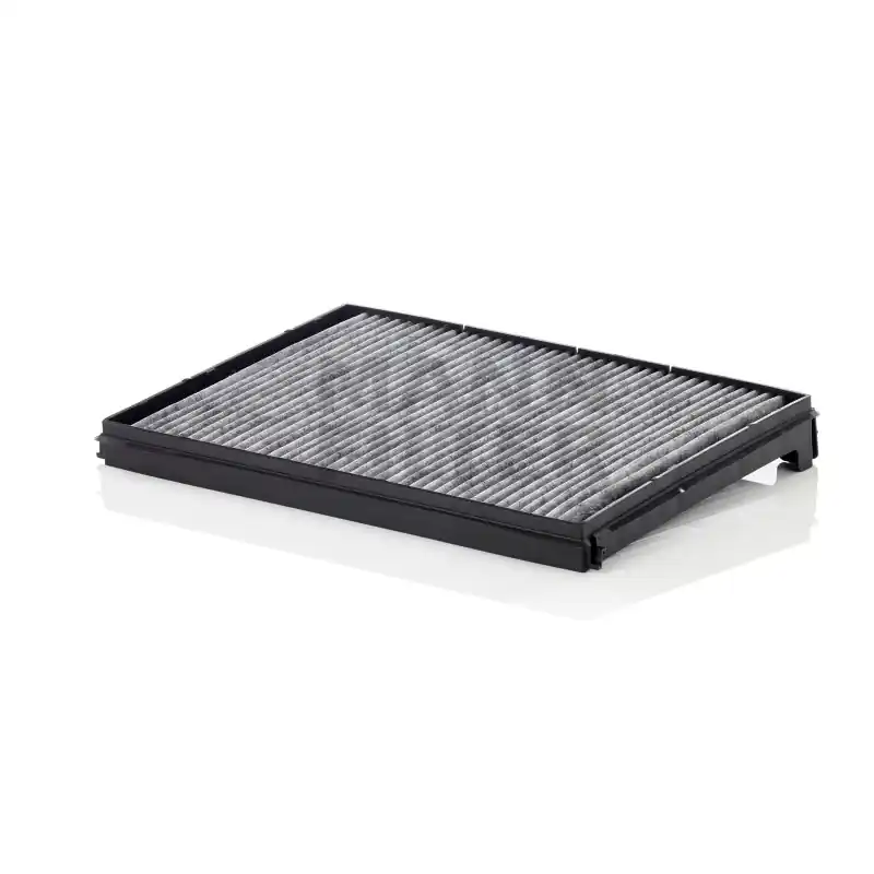 Filtru Cabina FP53834AK pentru DAF Oferta Pret - Trada.ro - Trada Marketplace Disponibil imediat