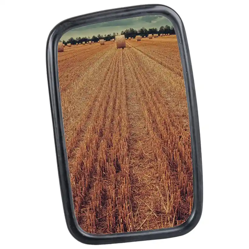 Oglindă 250x165mm Lr0235m6 Șurub de plastic M6 Ursus Zetor Fendt Calitate înaltă