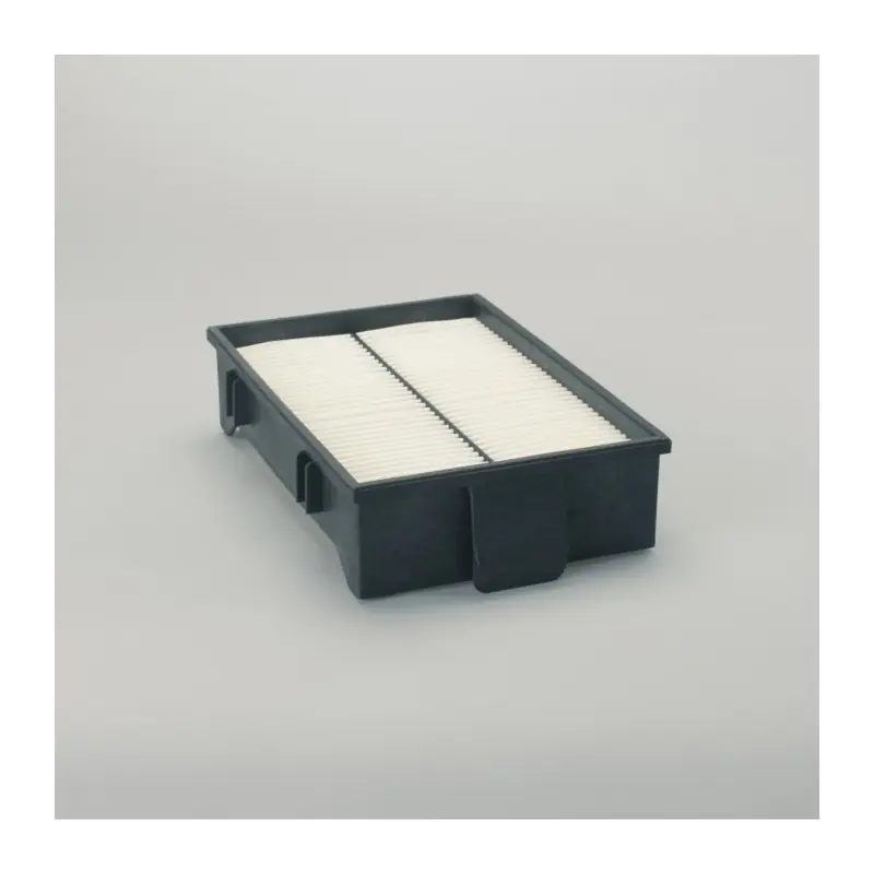 Cumpără online Filtru Cabina P500248, Lungime 317 mm, Donaldson Oferta Pret - T - Trada Marketplace