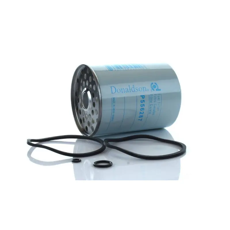 Filtru combustibil Donaldson P556287 Echivalent 1896287m91 6005000895 Preț redus