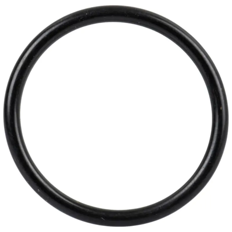 Chilipir Oring cauciuc 22×2 rezistent la ulei