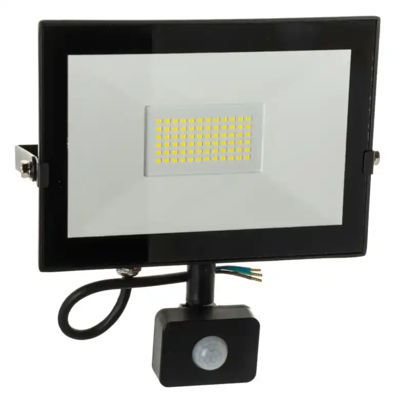 Chilipir Proiector LED 50 W 230 V lumină rece cu senzor de mișcare